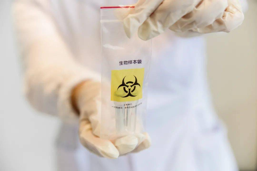 游戏专题 第244页