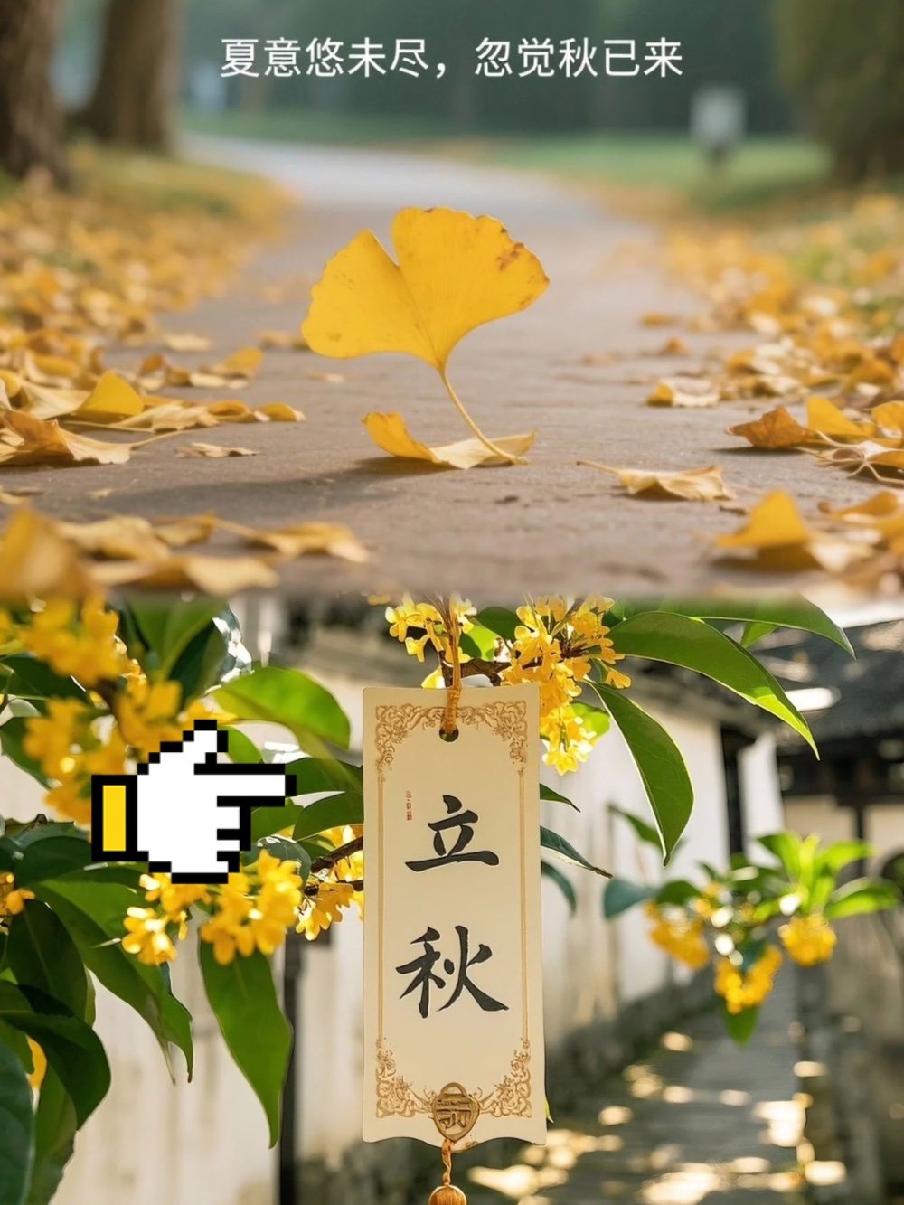 娱乐生活 第219页