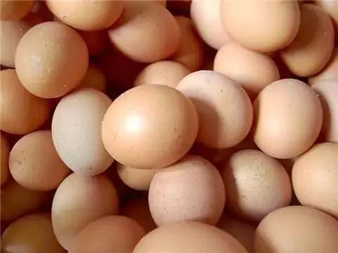 娱乐生活 第203页
