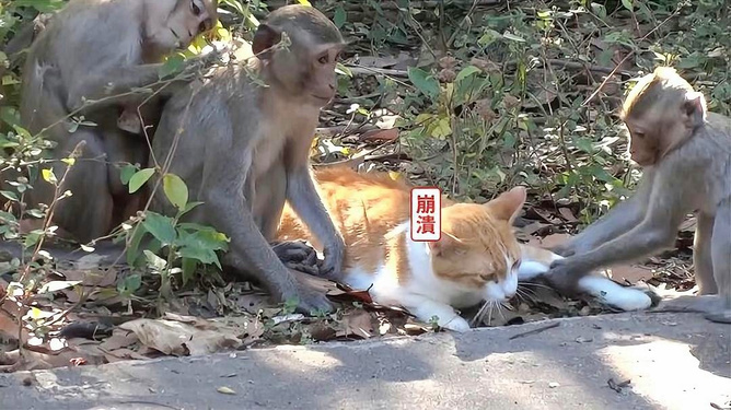 地方新闻 第148页