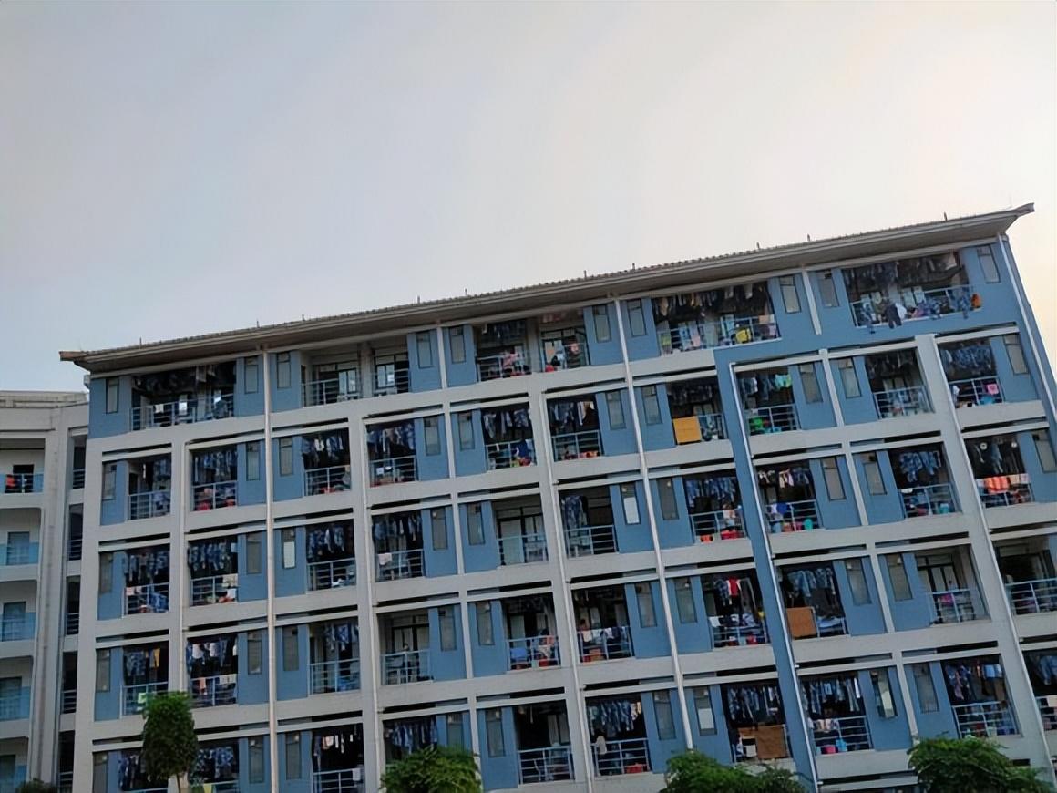 地方新闻 第146页
