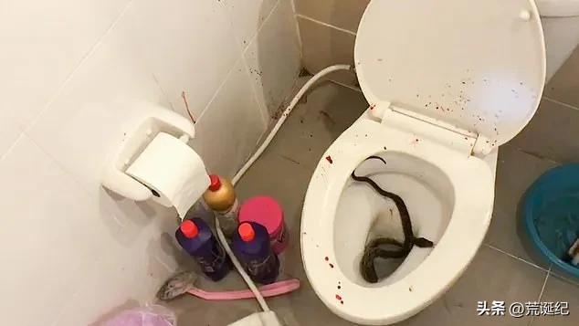 热点生活 第131页