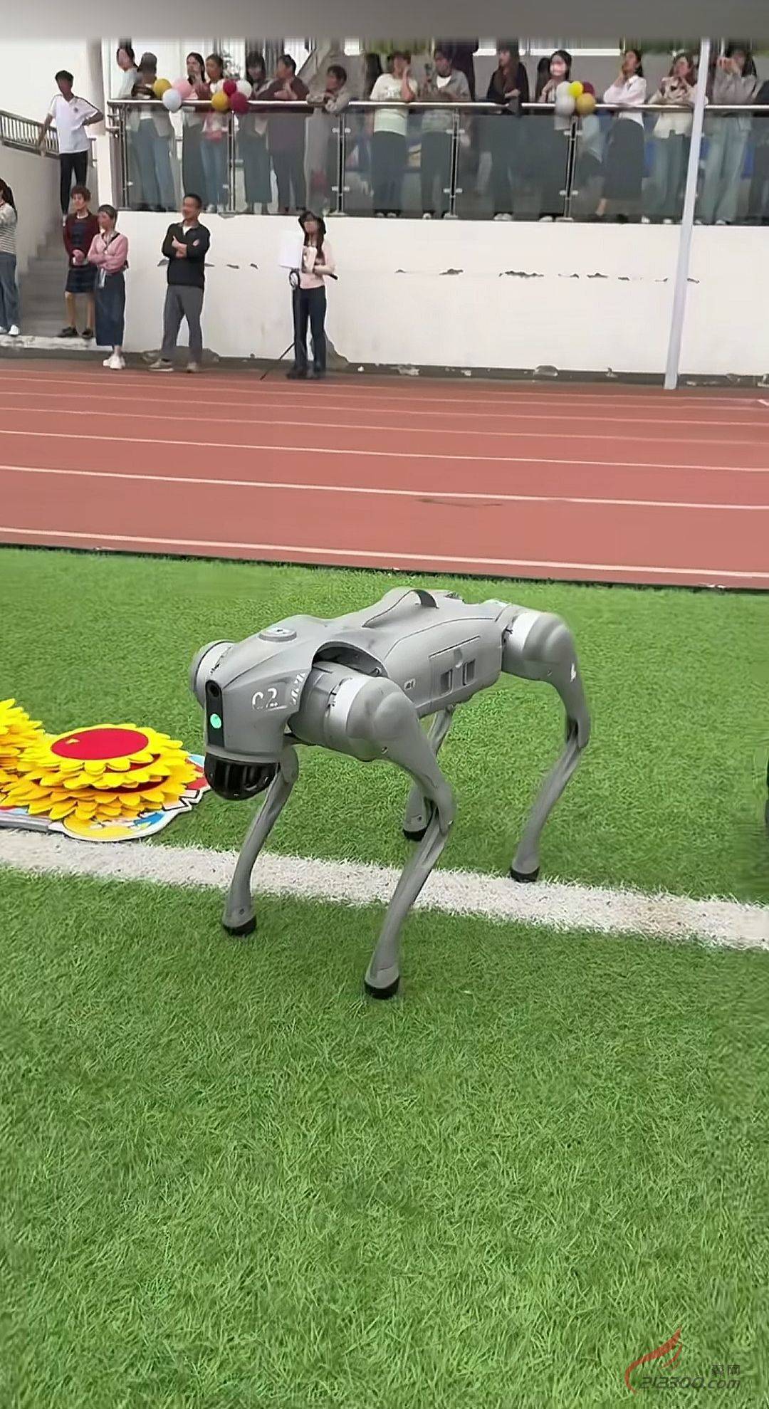 港澳新闻 第119页