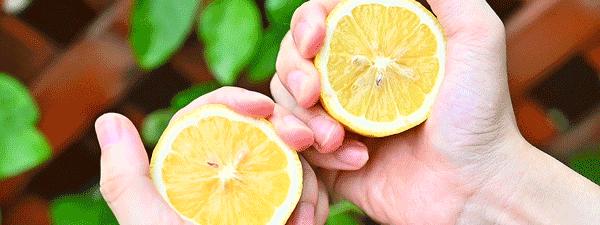 游戏专题 第115页