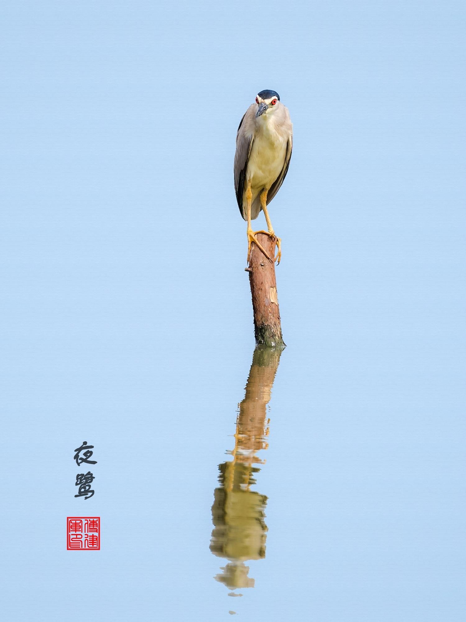 娱乐生活 第61页